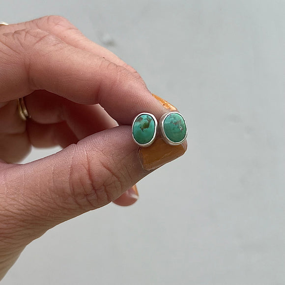 Royston Turquoise + Sterling Silver Stud Earrings