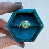 Sonoran gold Turquoise + 14K Gold Ring • Size 8.5